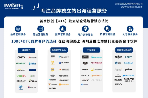 艾维独立站出海运营服务