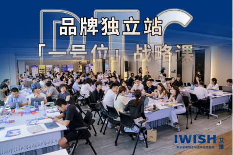 艾维品牌独立站「一号位」战略课