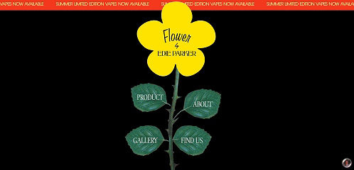 用WordPress搭建的Edie Parker Flower网站首页